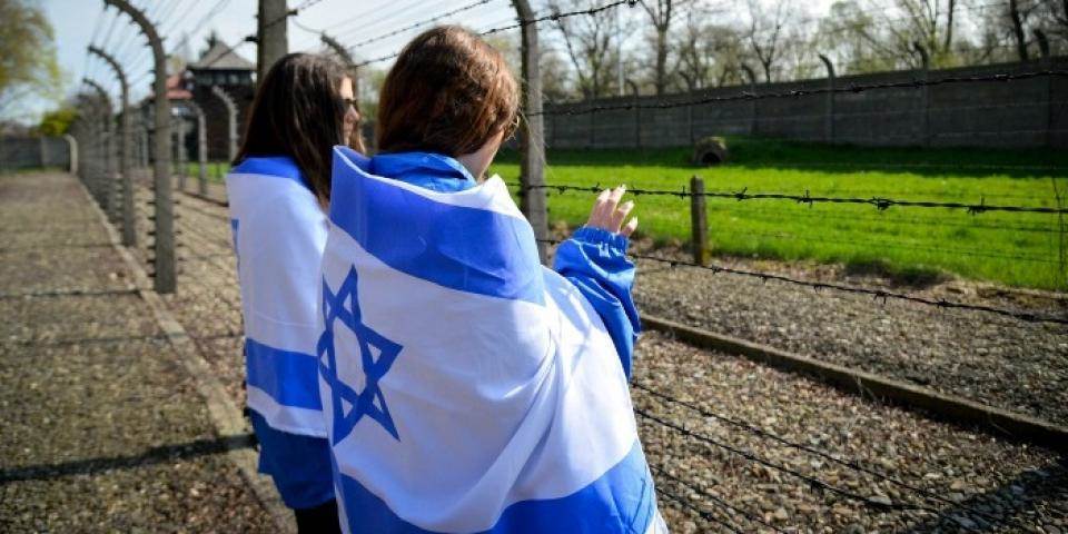 שואה ביזנס: ההמאסה היא הכחשת השואה החדשה
